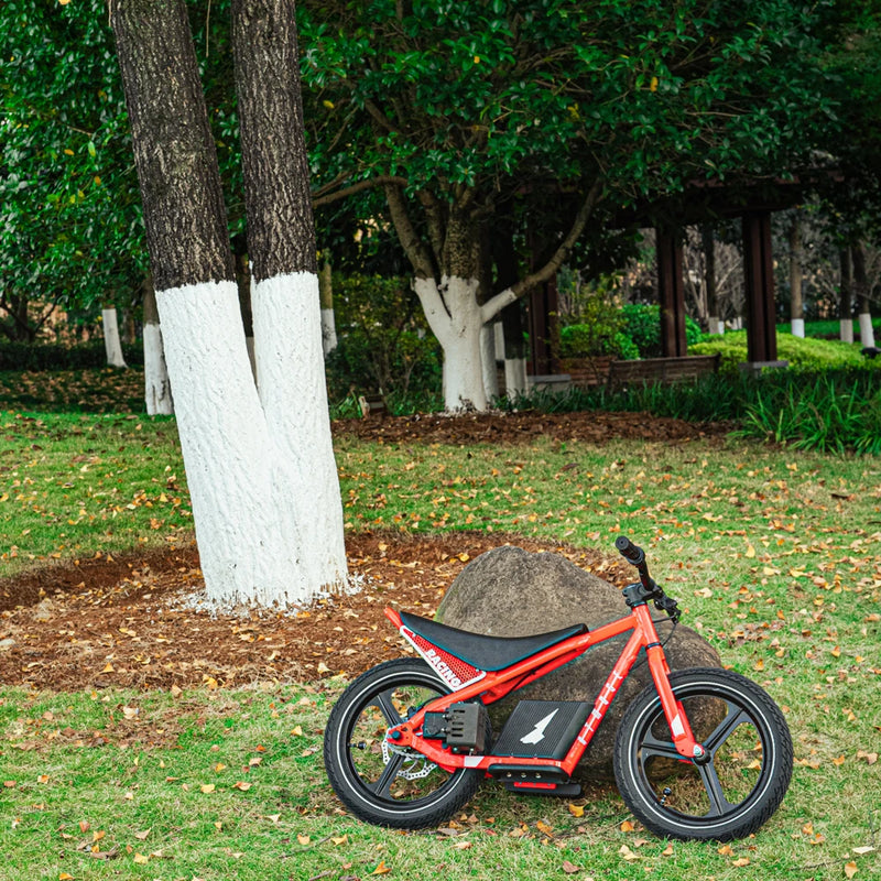 Factory Wholesale Price Children's Single Speed Mountain Bicycle Bike Cycling for Kids 3-12ages