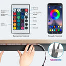 5V RGB LED Strip Lights Smart Bluetooth 24Key Remote Flexible Diode Lamp Tape SMD 5050 30LEDs/M For Room Home Decor TV Backlight